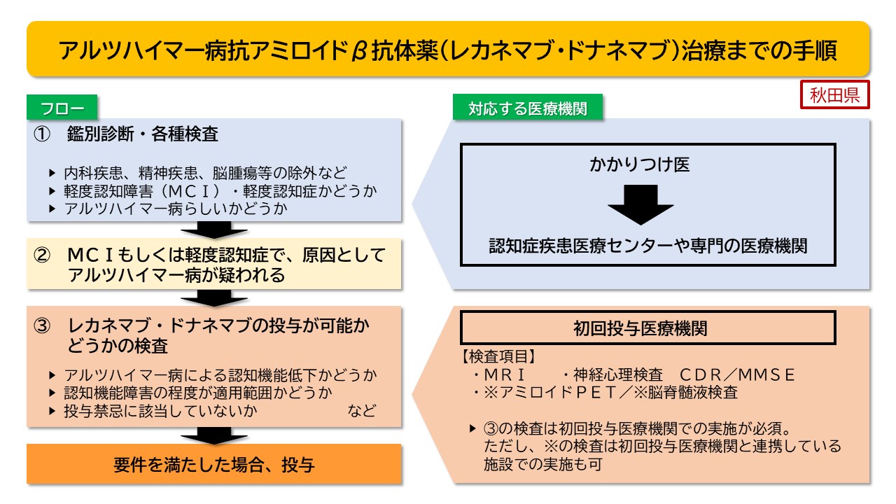 アルツハイマー病抗アミロイドβ抗体薬治療手順図